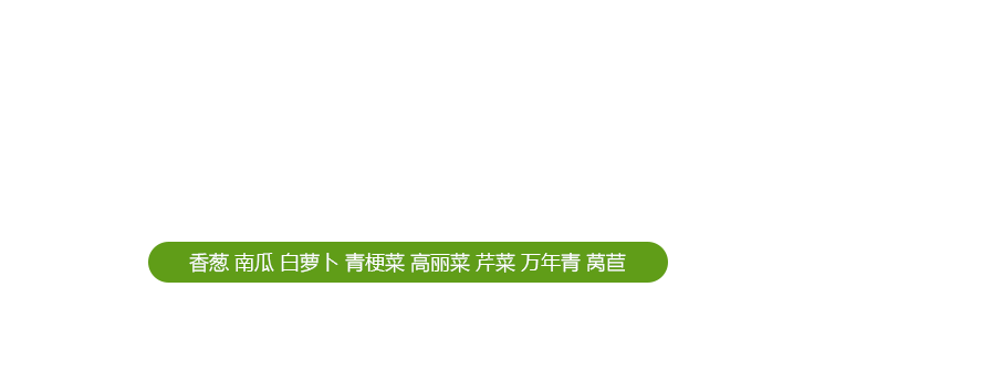 兴化市维泰食品有限公司